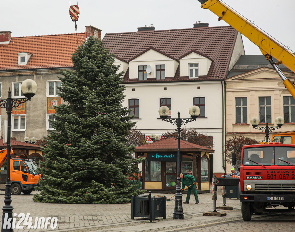 Choinka na inowrocławskim Rynku