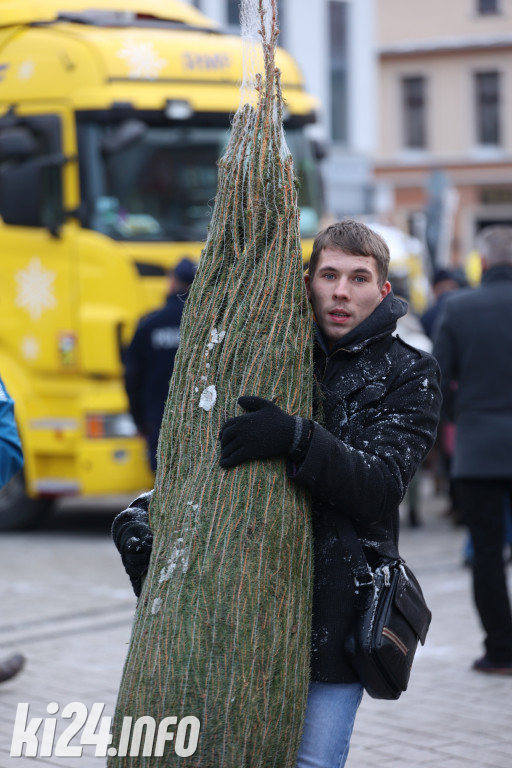 Choinkowe szaleństwo na inowrocławskim Rynku