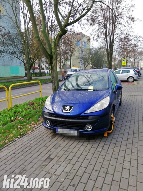 Straż Miejska nie żałowała mandatów