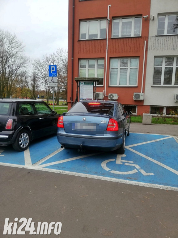 Straż Miejska nie żałowała mandatów