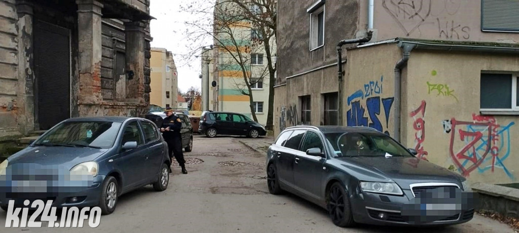 Straż Miejska nie żałowała mandatów