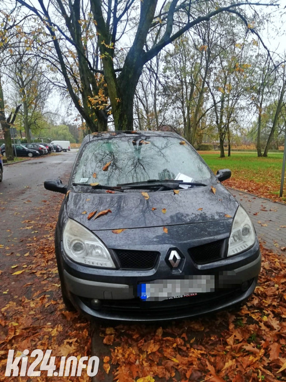 Straż Miejska nie żałowała mandatów