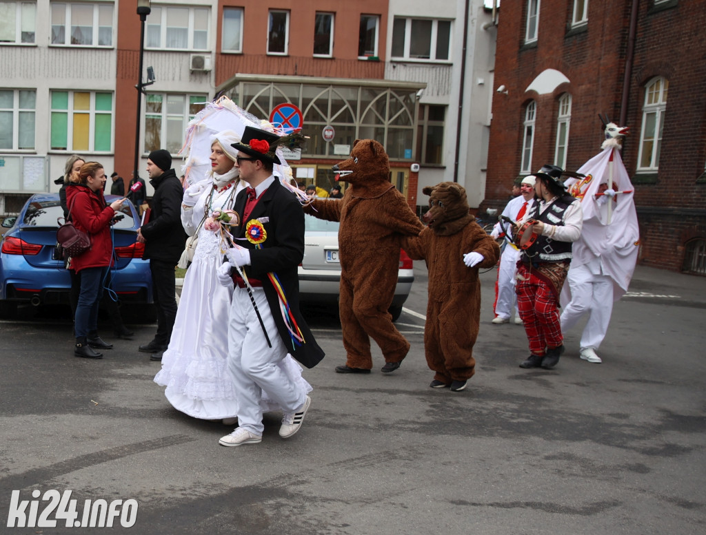 Dzisiaj Inowrocławiem rządzą kozy