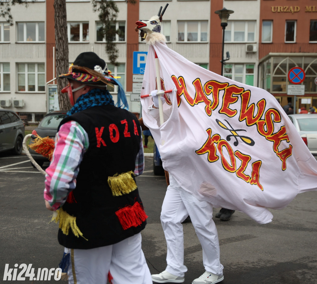 Dzisiaj Inowrocławiem rządzą kozy