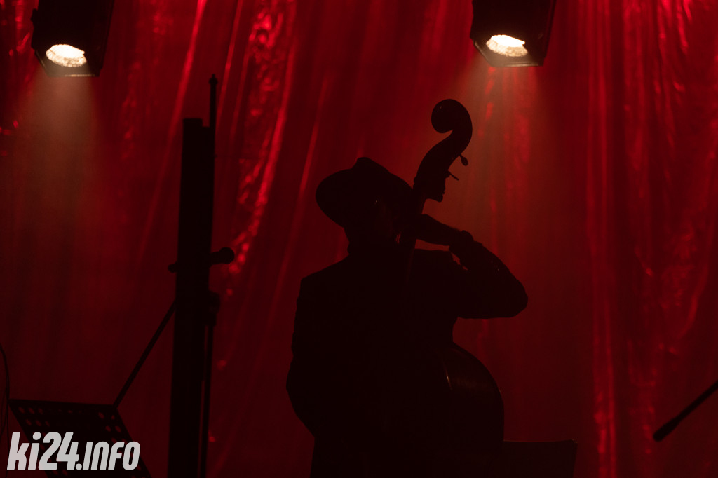 Koncert Michała Szpaka