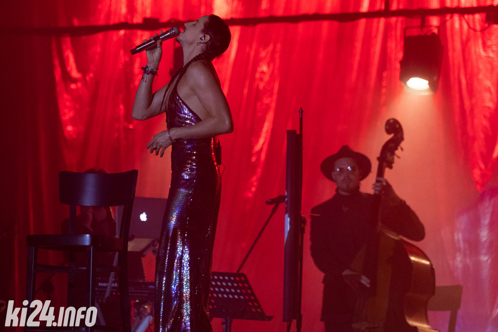 Koncert Michała Szpaka