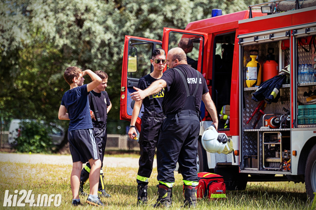 Festyn z Kocią Doliną. Bawią się i pomagają zwierzakom