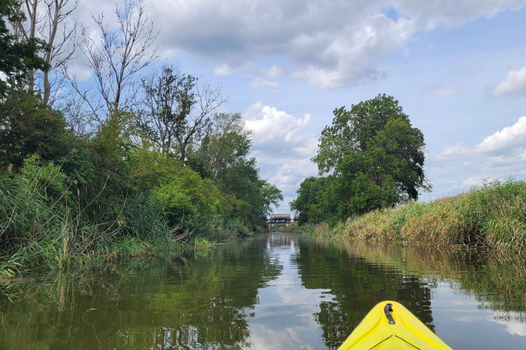 Przewiosłowali sto kilometrów