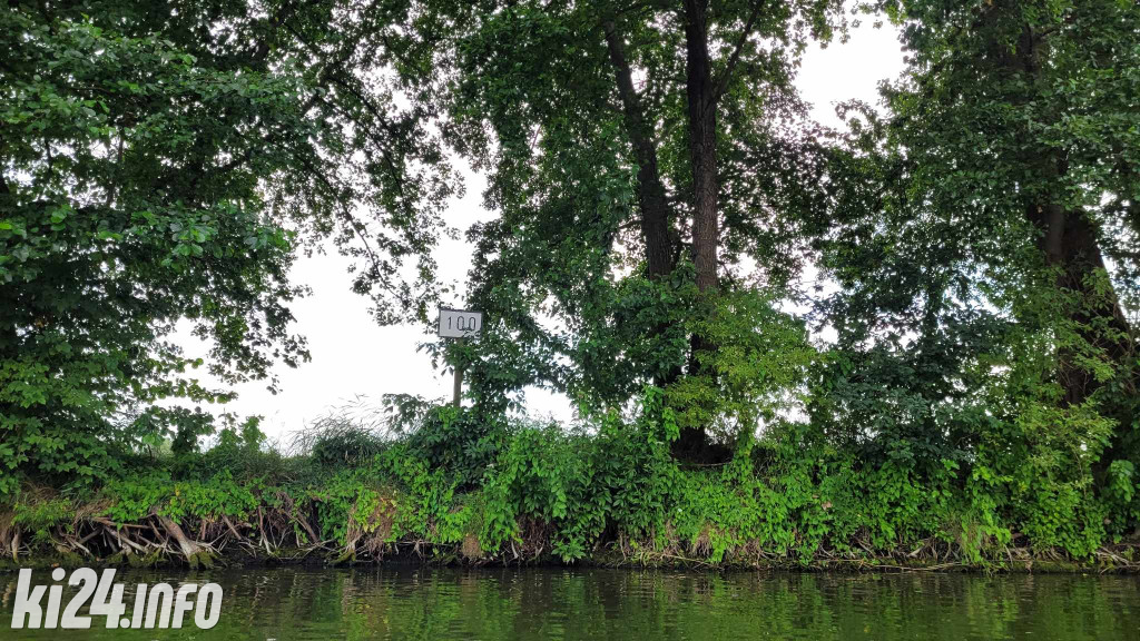 Przewiosłowali sto kilometrów