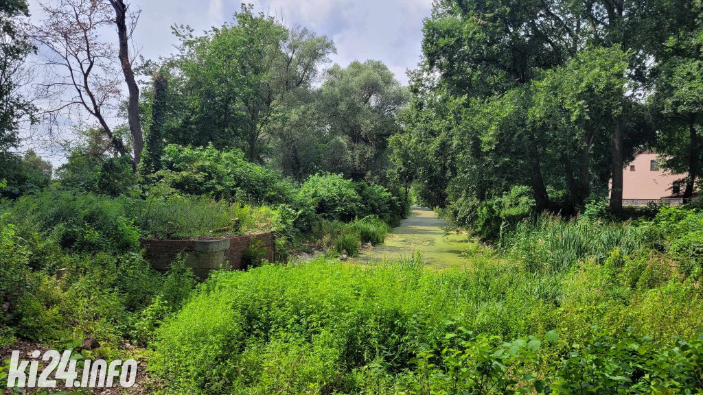 Przewiosłowali sto kilometrów