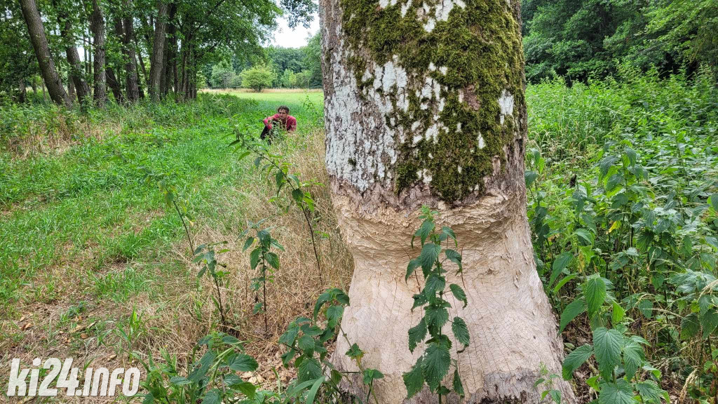 Przewiosłowali sto kilometrów