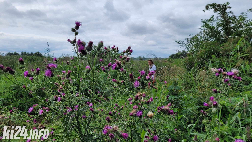 Przewiosłowali sto kilometrów