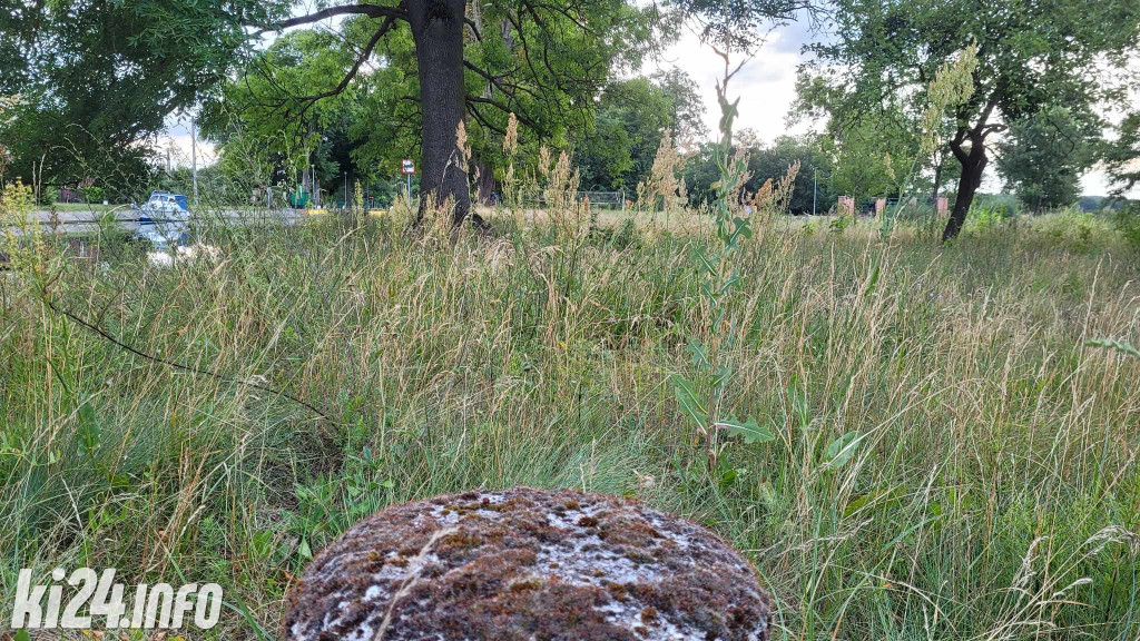 Przewiosłowali sto kilometrów