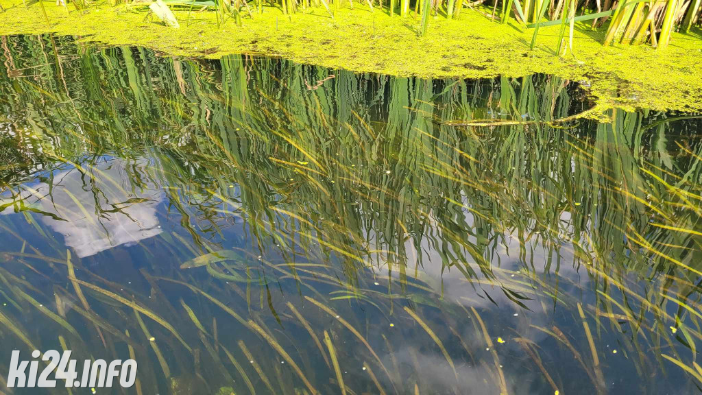 Przewiosłowali sto kilometrów