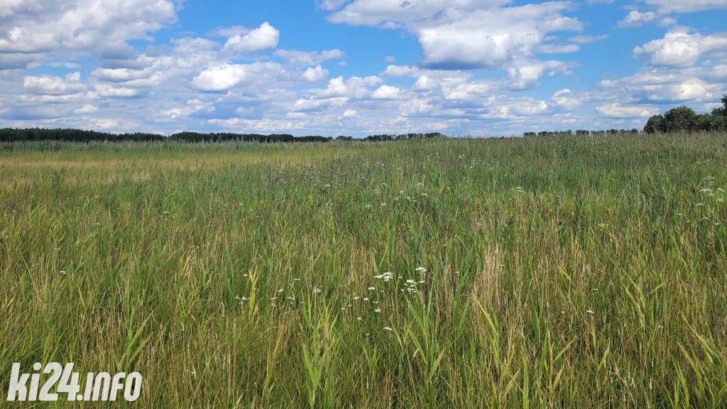 Przewiosłowali sto kilometrów