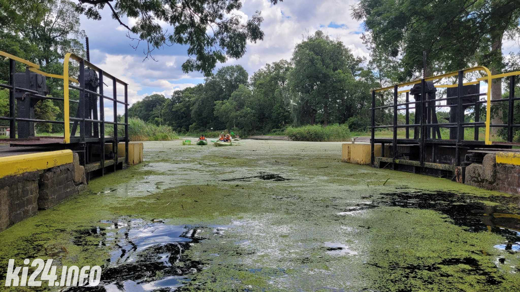 Przewiosłowali sto kilometrów