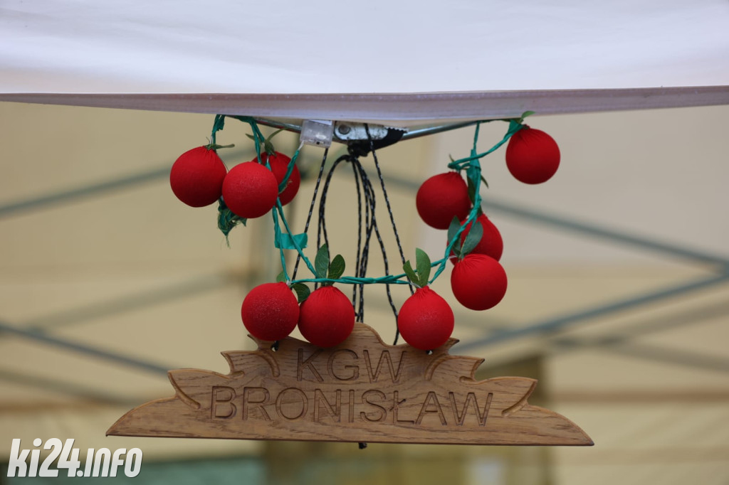 Wielki Festyn Pomidorowy