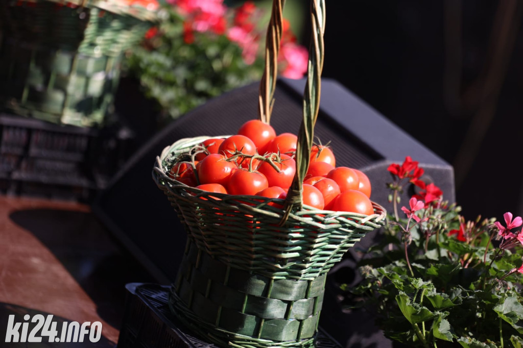 Wielki Festyn Pomidorowy