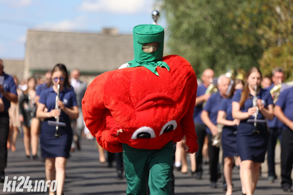 Wielki Festyn Pomidorowy