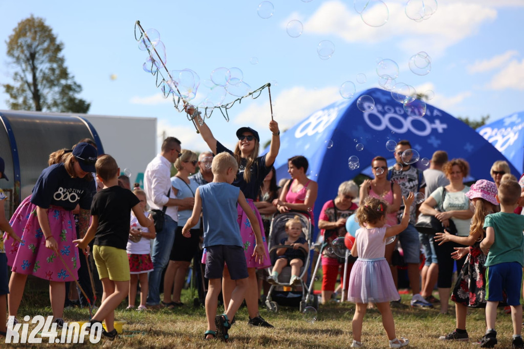 Wielki Festyn Pomidorowy