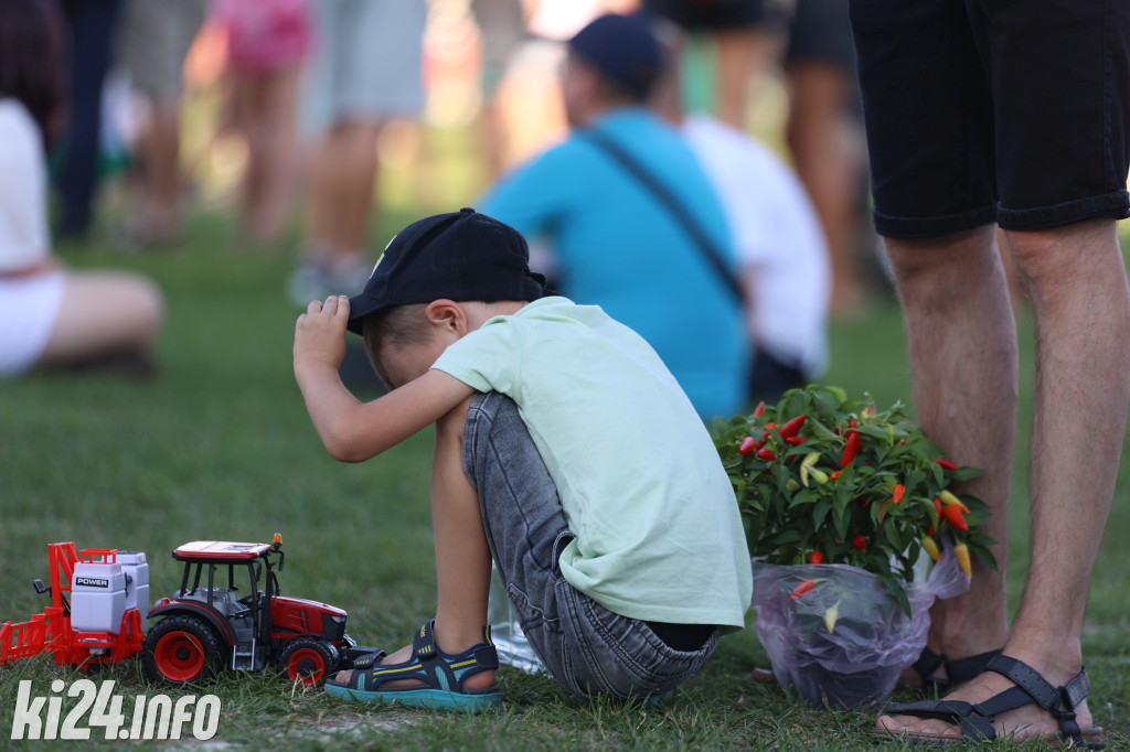 Wielki Festyn Pomidorowy