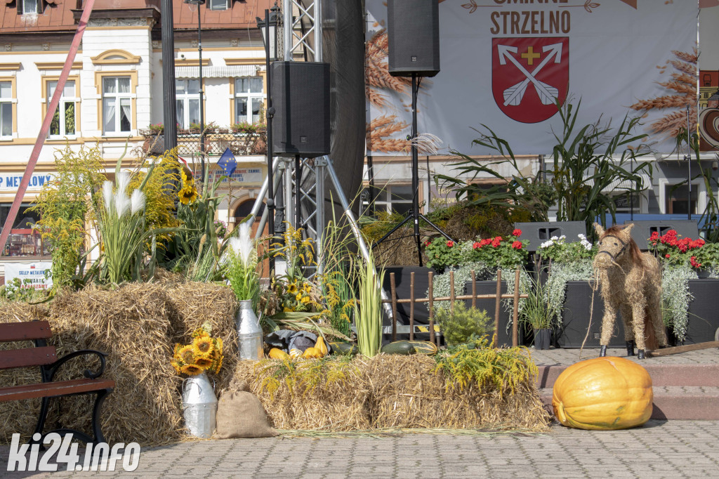 Festiwal Czekolady i Słodyczy w Strzelnie