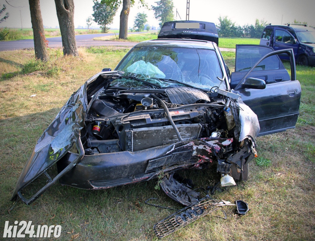 Uderzył audi w drzewo