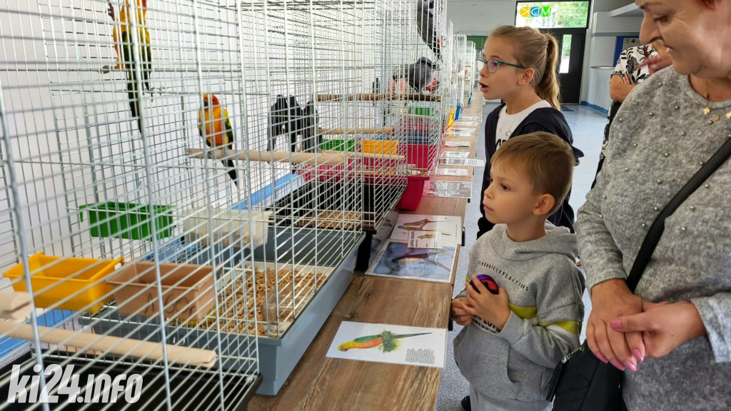 Wystawa kanarków i ptaków egzotycznych