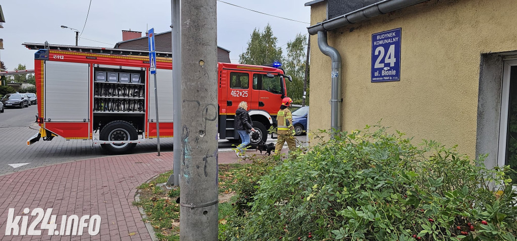 Pożar baraku mieszkalnego na Błoniu