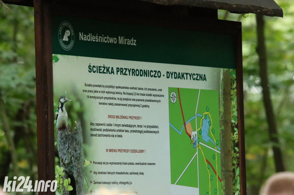 Uczniowie z Inowrocławia odwiedzili miradzkie lasy [ZDJĘCIA]