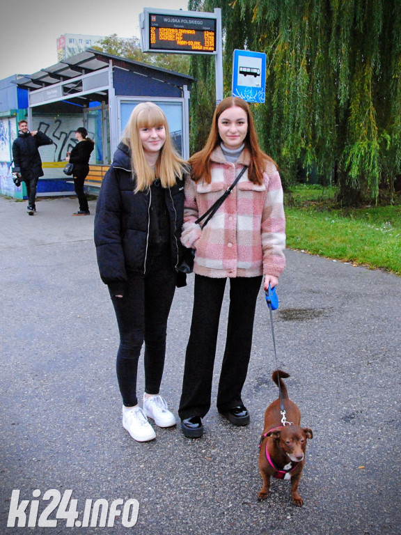 Wielka parada kundelków i adopciaków