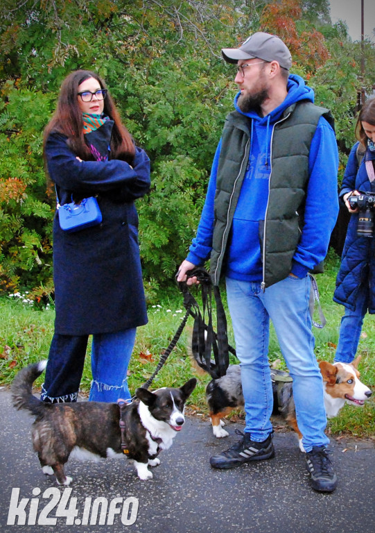 Wielka parada kundelków i adopciaków