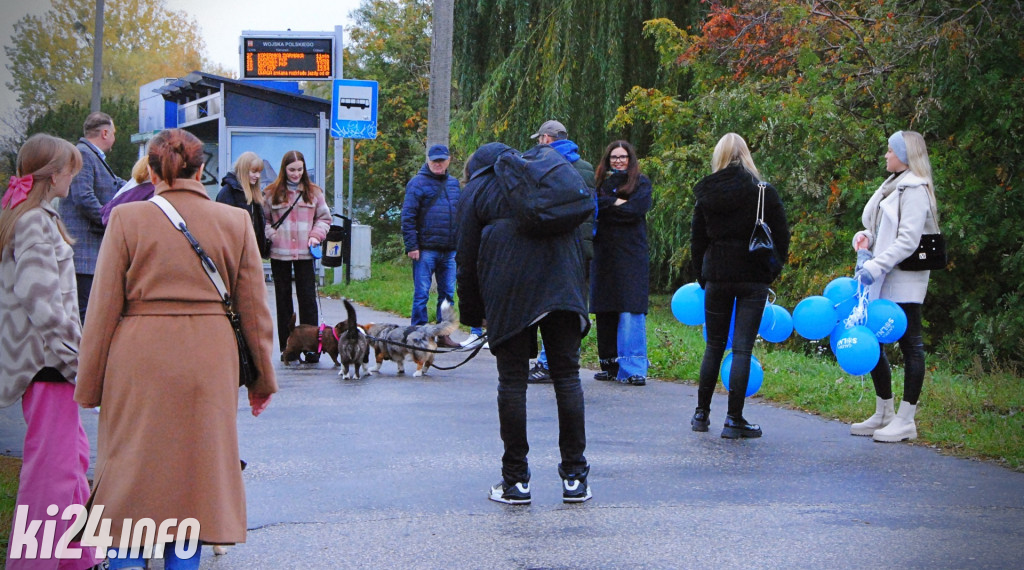 Wielka parada kundelków i adopciaków