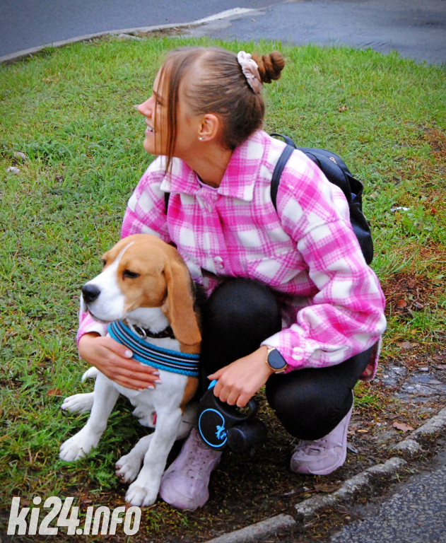Wielka parada kundelków i adopciaków