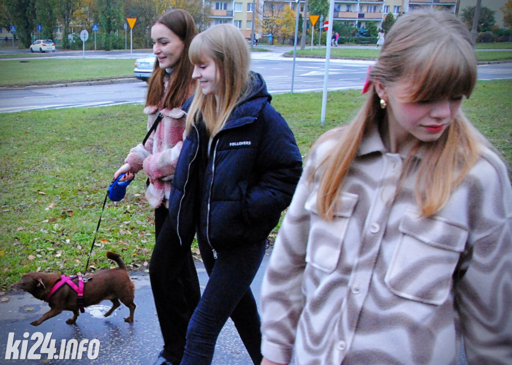 Wielka parada kundelków i adopciaków