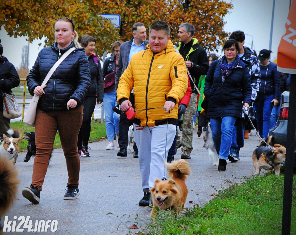 Wielka parada kundelków i adopciaków