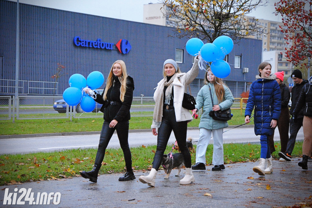 Wielka parada kundelków i adopciaków