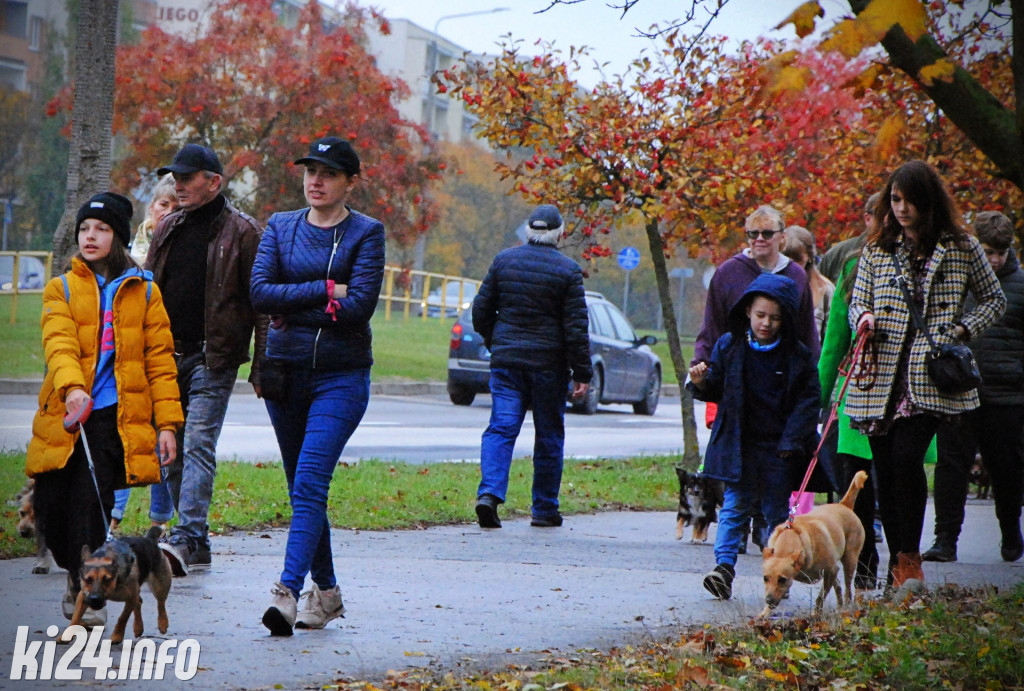 Wielka parada kundelków i adopciaków