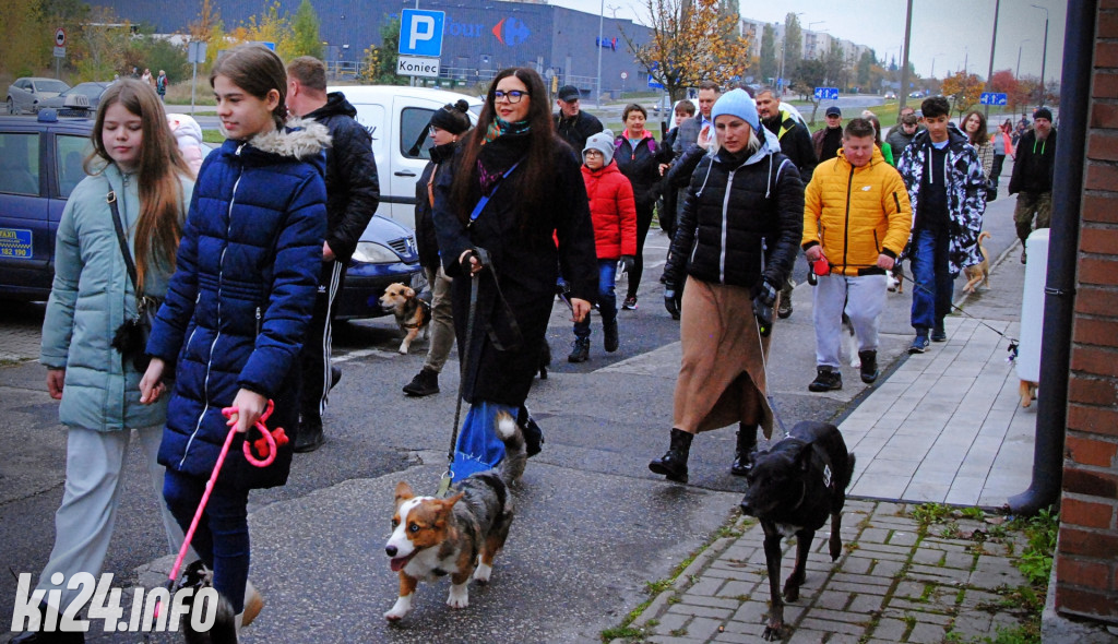 Wielka parada kundelków i adopciaków