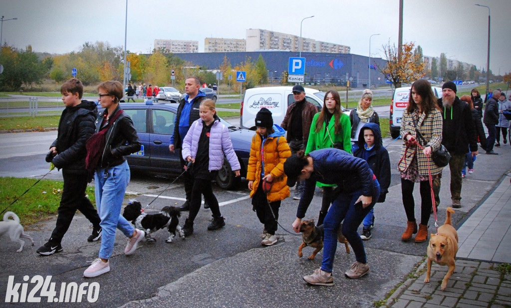 Wielka parada kundelków i adopciaków