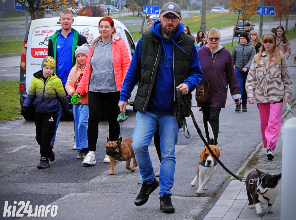 Wielka parada kundelków i adopciaków