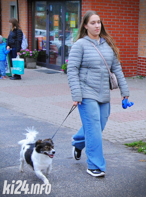 Wielka parada kundelków i adopciaków