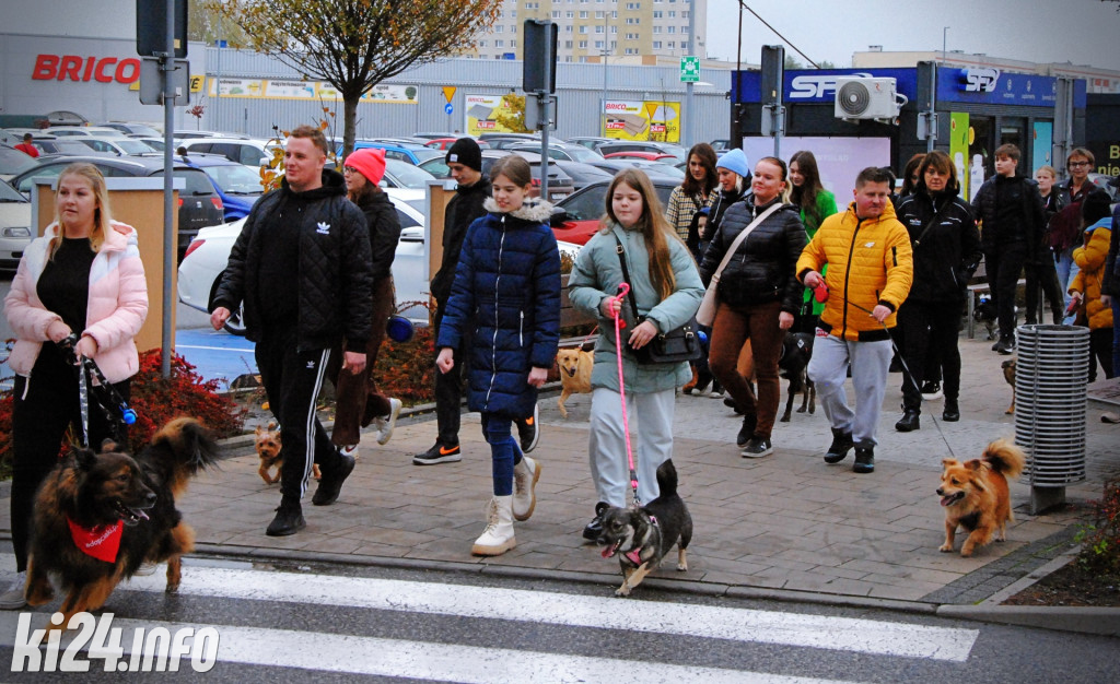 Wielka parada kundelków i adopciaków