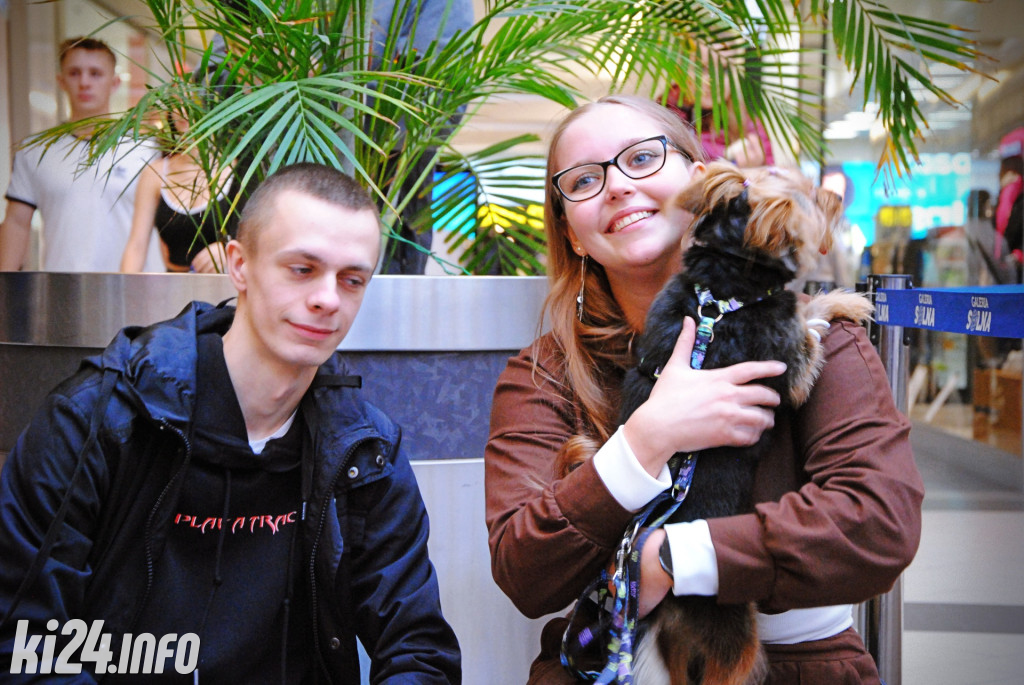 Wielka parada kundelków i adopciaków