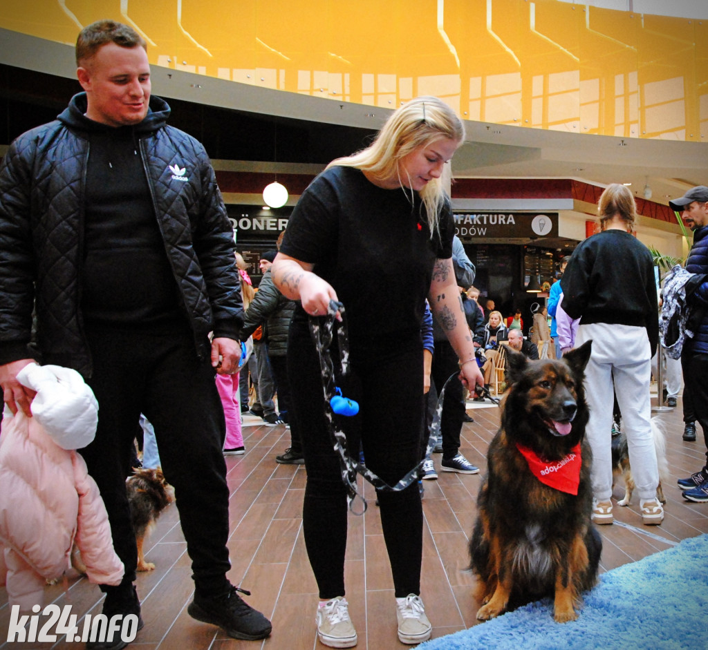 Wielka parada kundelków i adopciaków