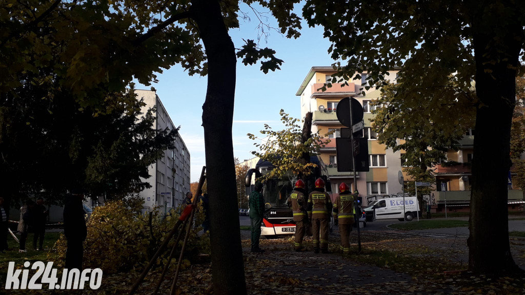 Wypadek na ul. Narutowicza