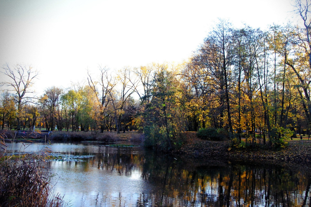 Jesień w Solankach