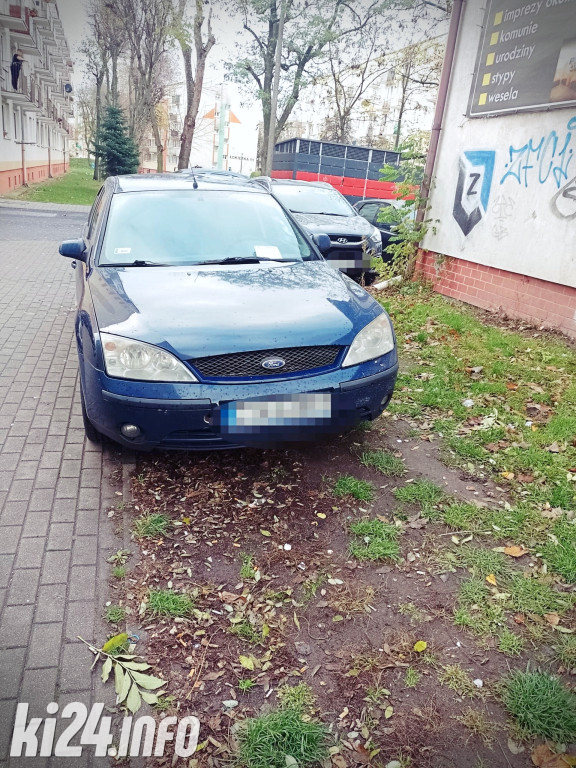 Mistrzowie pakowania - listopad 2023