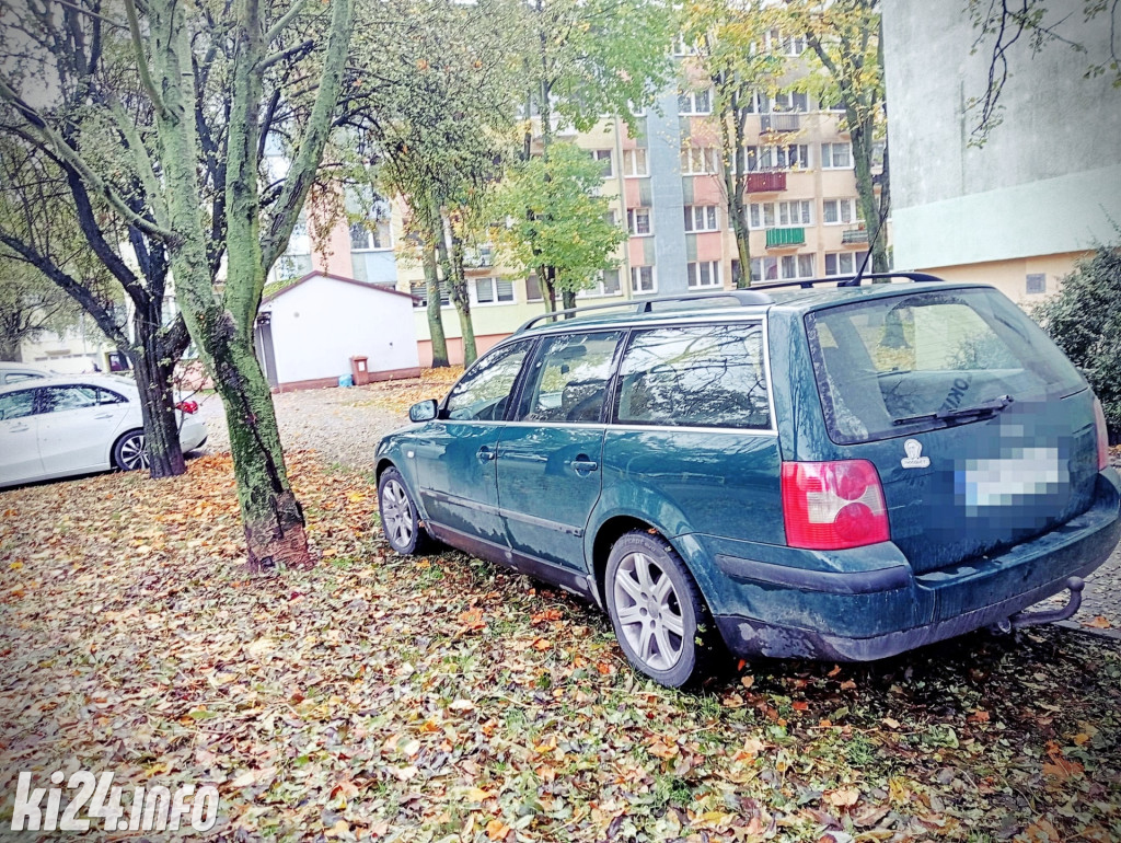Mistrzowie pakowania - listopad 2023