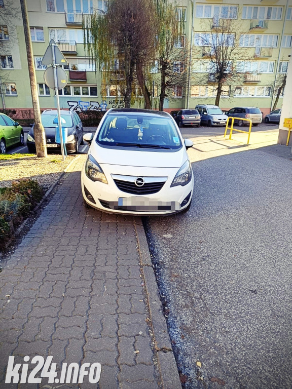 Mistrzowie pakowania - listopad 2023